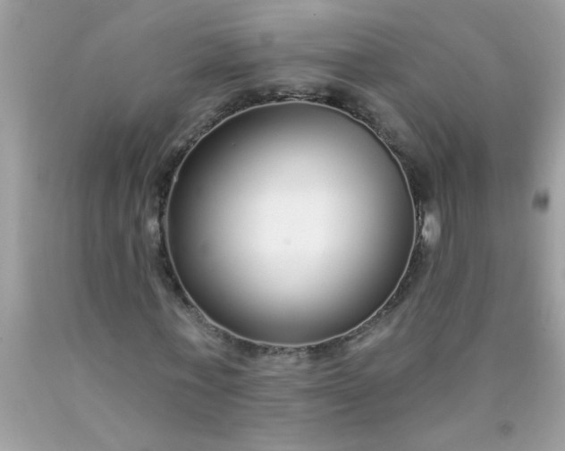 X0000090460771200707272236