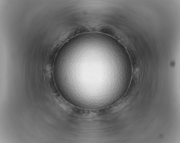 X0000090460772200707272236
