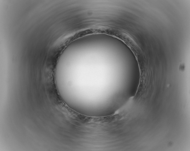 X0000090460773200707272236