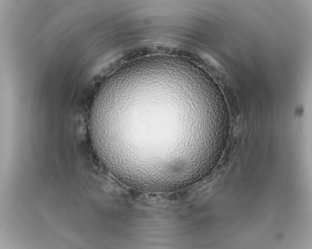 X0000090460774200707272236