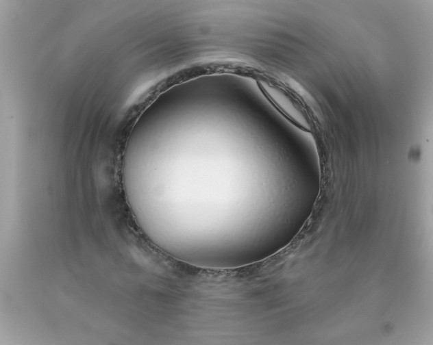 X0000090460775200707272236