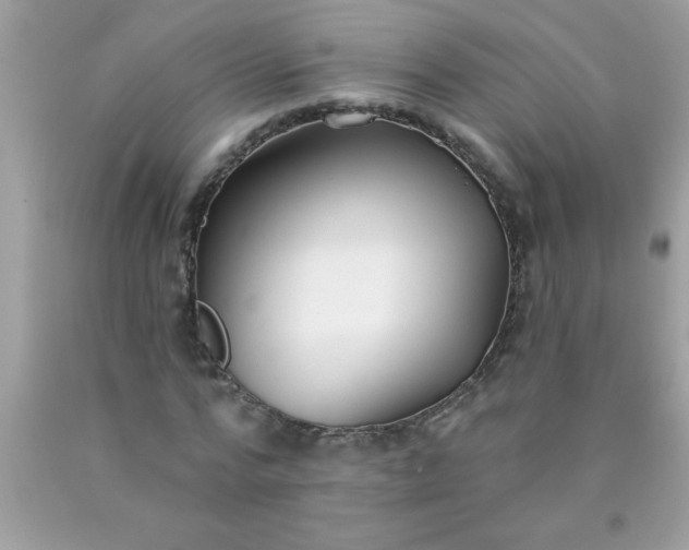 X0000090460776200707272236