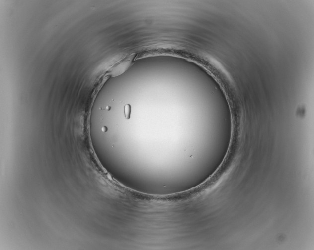 X0000090460777200707272236