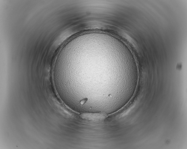 X0000090460778200707272236