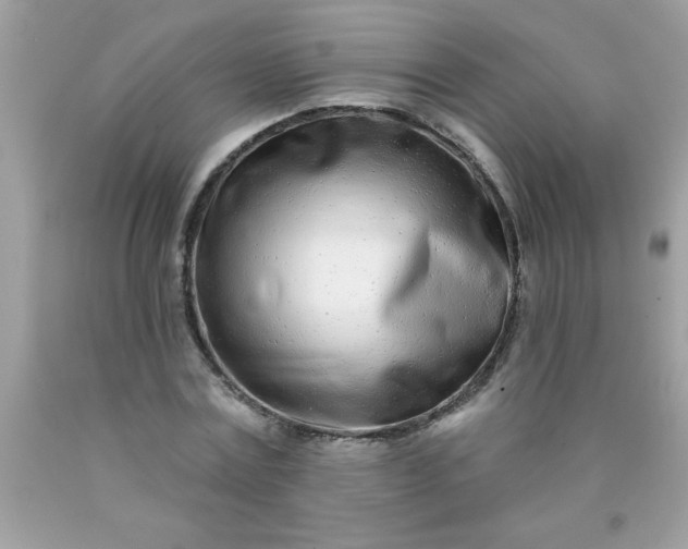 X0000090460779200707272236