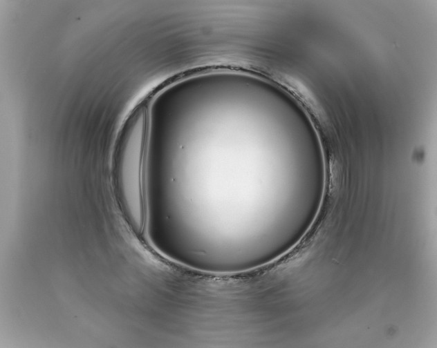 X0000090460780200707272236