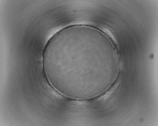 X0000090460781200707272236
