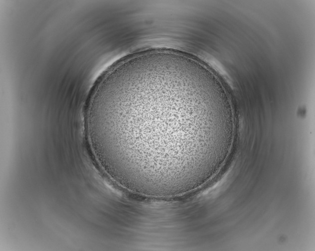 X0000090460782200707272236