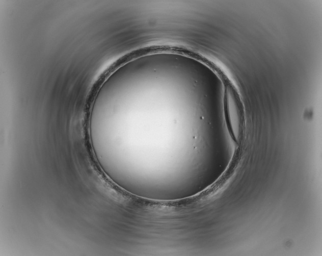 X0000090460783200707272236