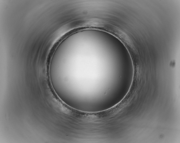 X0000090460784200707272236