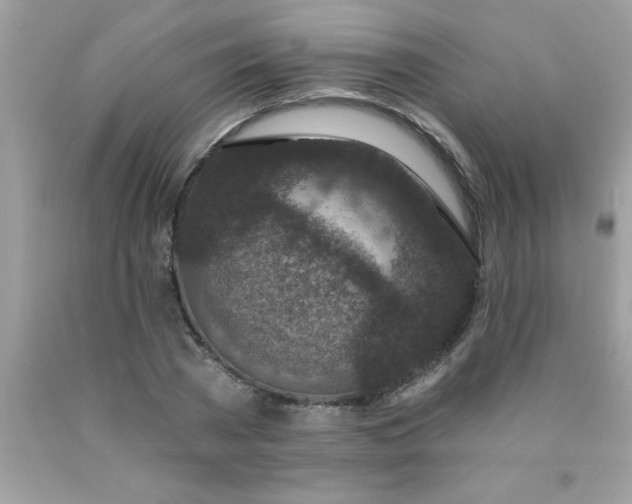 X0000090460785200707272236