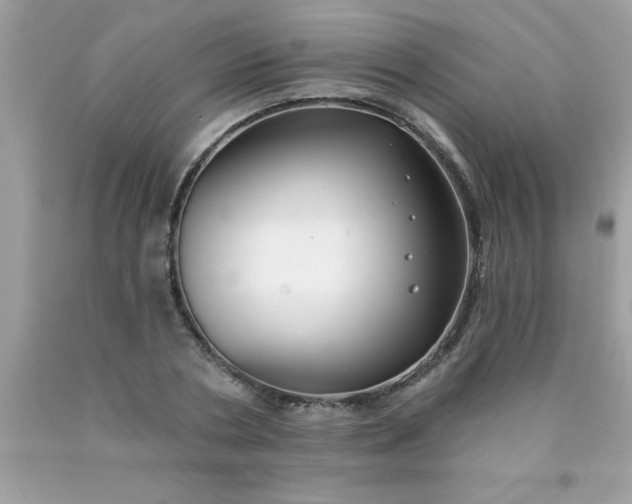 X0000090460786200707272235