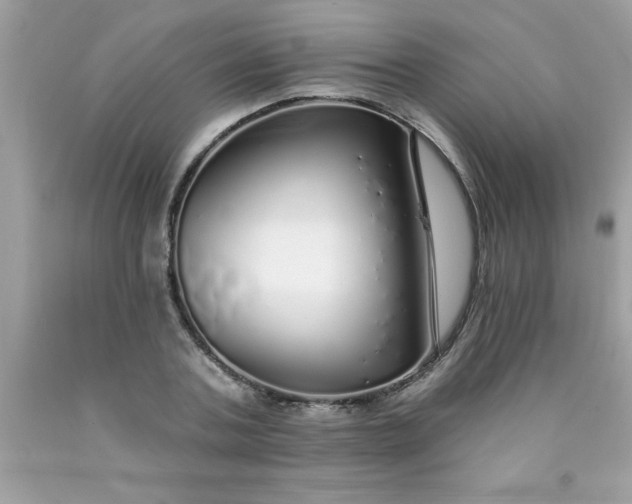 X0000090460787200707272235