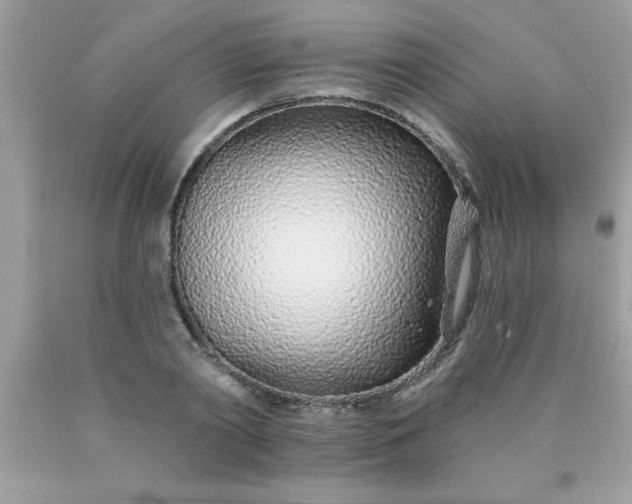 X0000090460790200707272235