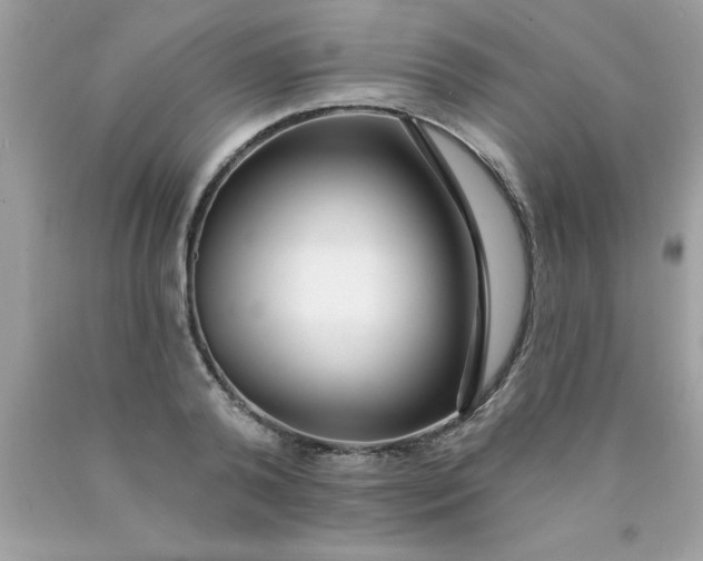 X0000090460792200707272235