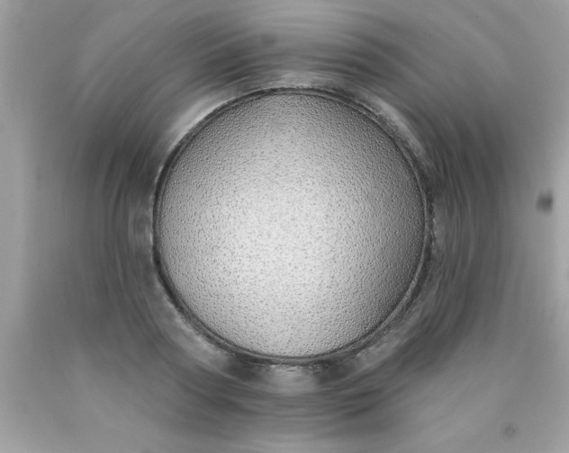 X0000090460794200707272235