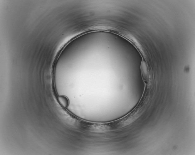 X0000090460795200707272235