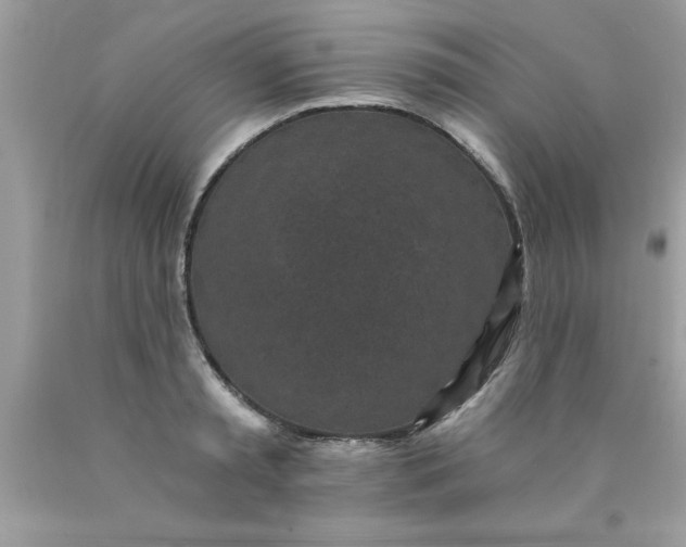 X0000090460797200707272235