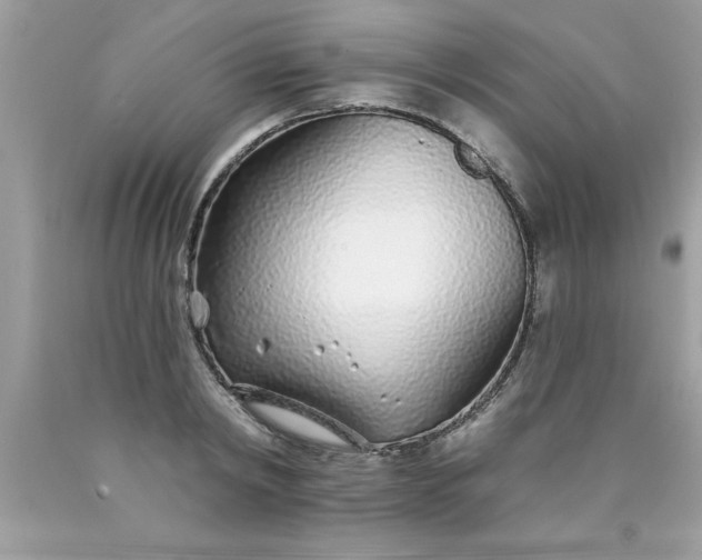 X0000090460798200707272235