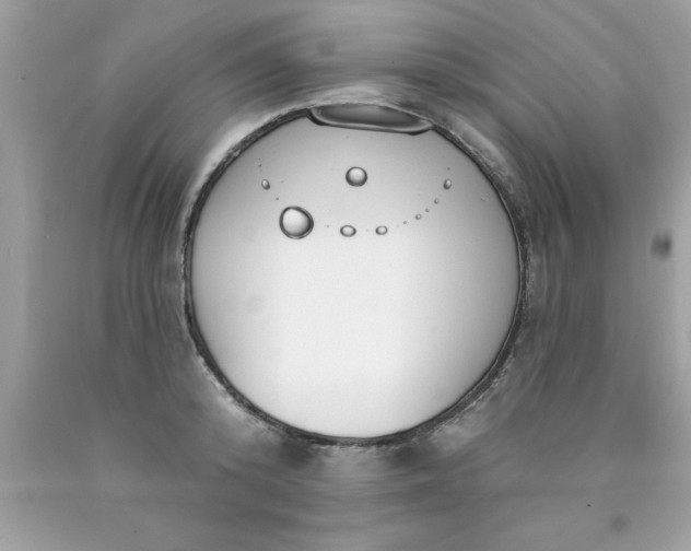 X0000090460800200707272235