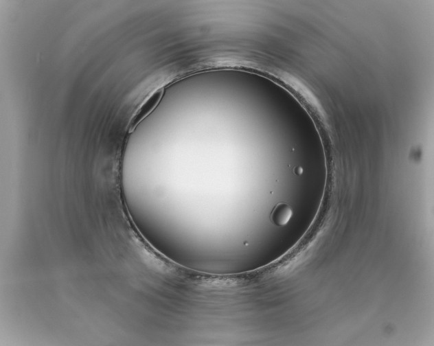X0000090460801200707272235