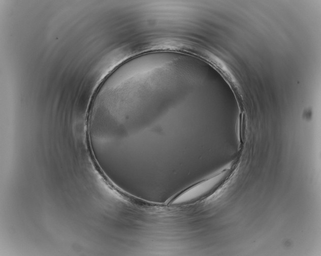 X0000090460802200707272235