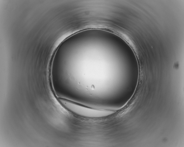 X0000090460803200707272235