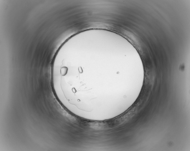 X0000090460804200707272235