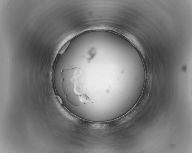 X0000090460805200707272235