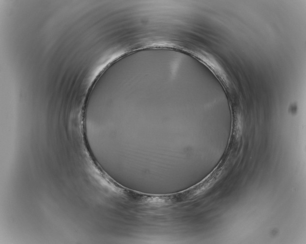 X0000090460806200707272235
