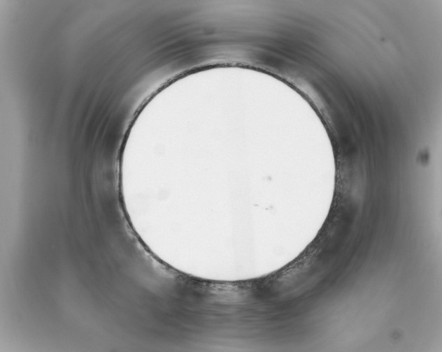 X0000090460807200707272235