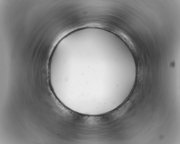 X0000090460808200707272235