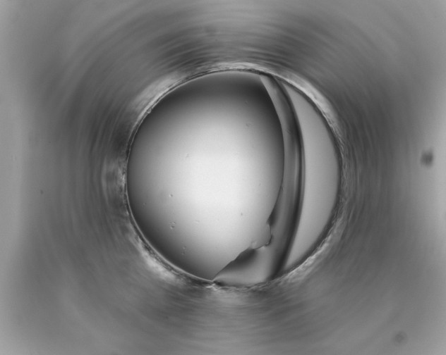 X0000090460809200707272235