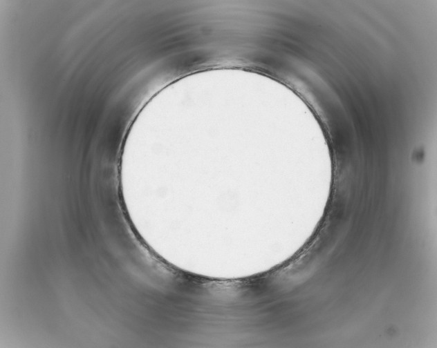 X0000090460810200707272235