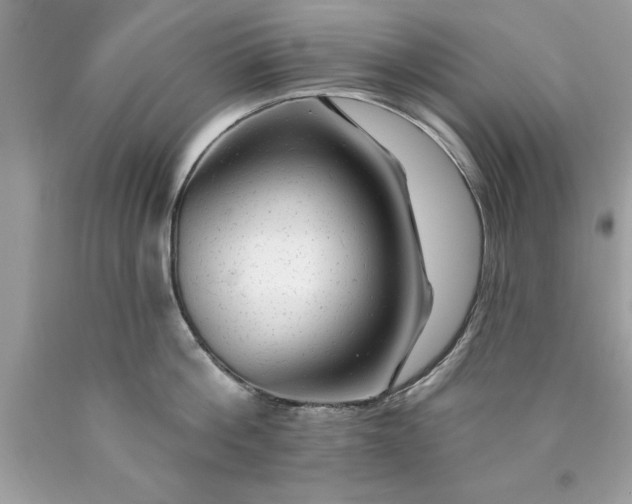 X0000090460812200707272235