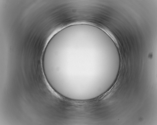 X0000090460813200707272235