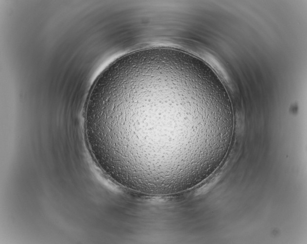 X0000090460814200707272235
