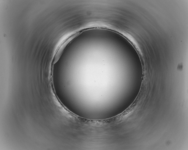 X0000090460815200707272235