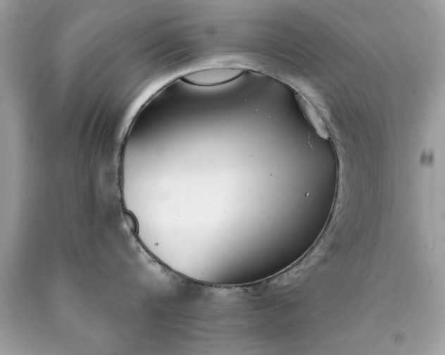 X0000090460816200707272235