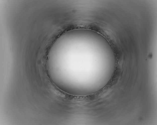 X0000090460817200707272235