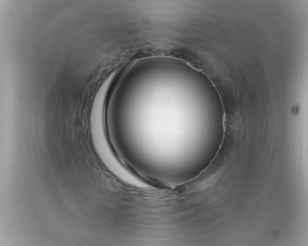 X0000090460818200707272235