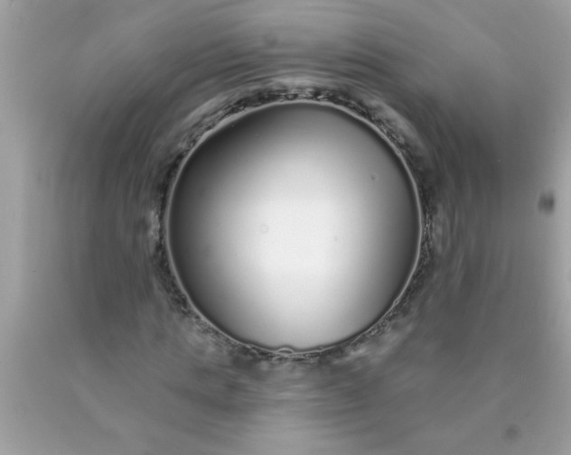 X0000090460821200707272235