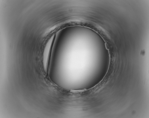X0000090460822200707272235