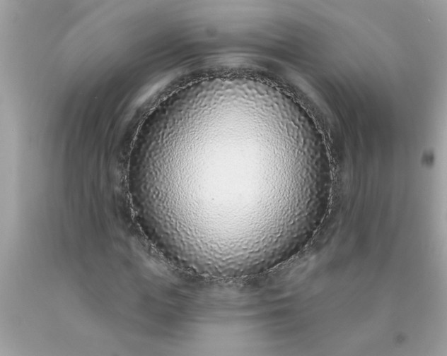 X0000090460823200707272235