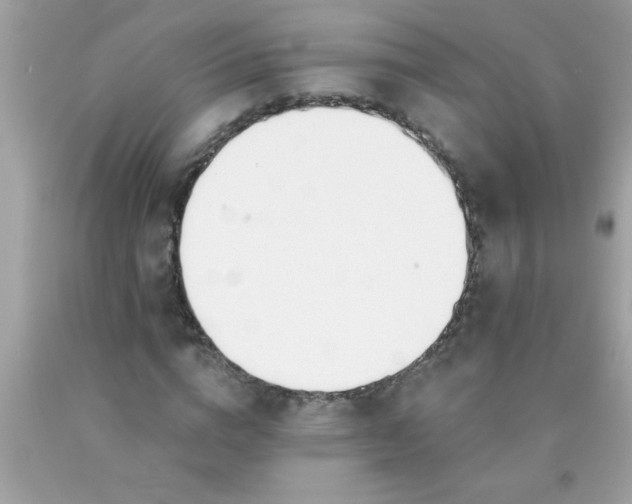 X0000090460824200707272235