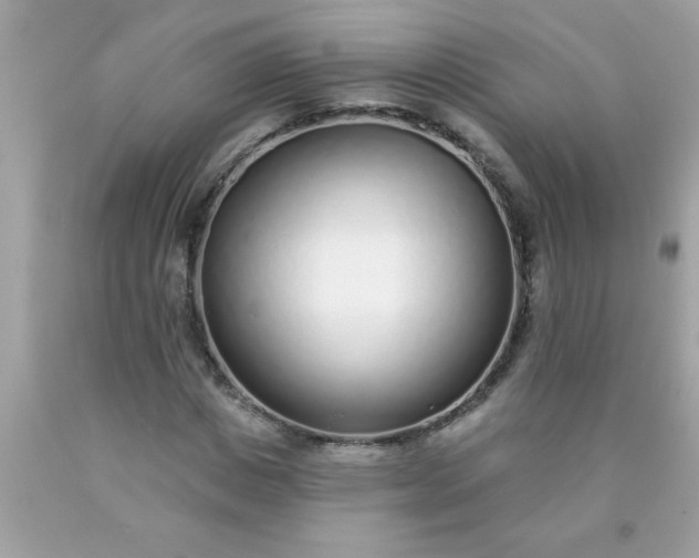 X0000090460825200707272235