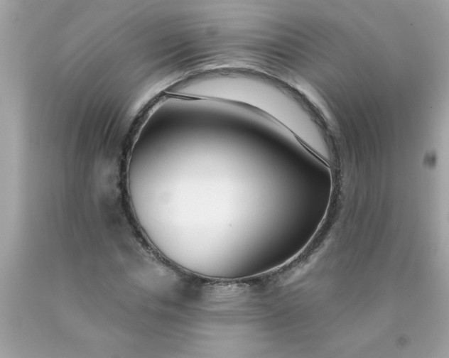 X0000090460826200707272235
