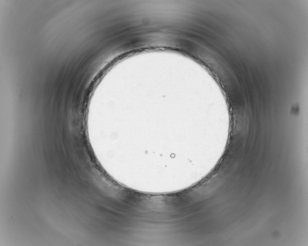 X0000090460828200707272235