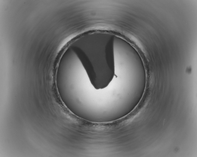 X0000090460829200707272235