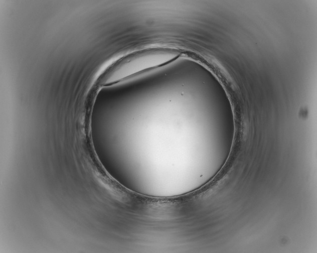 X0000090460830200707272235
